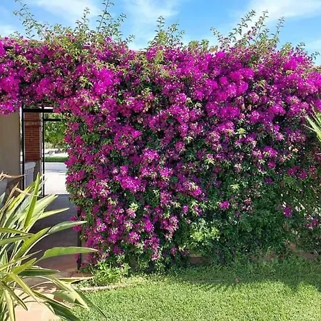 Casa Oliva Альхаурин-эль-Гранде