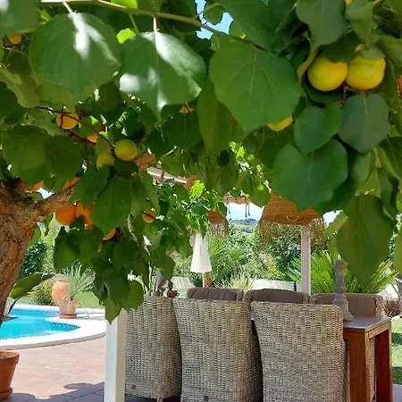 Casa Oliva