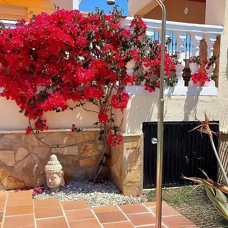 Casa Oliva Отель типа 