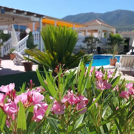 Casa Oliva 2*